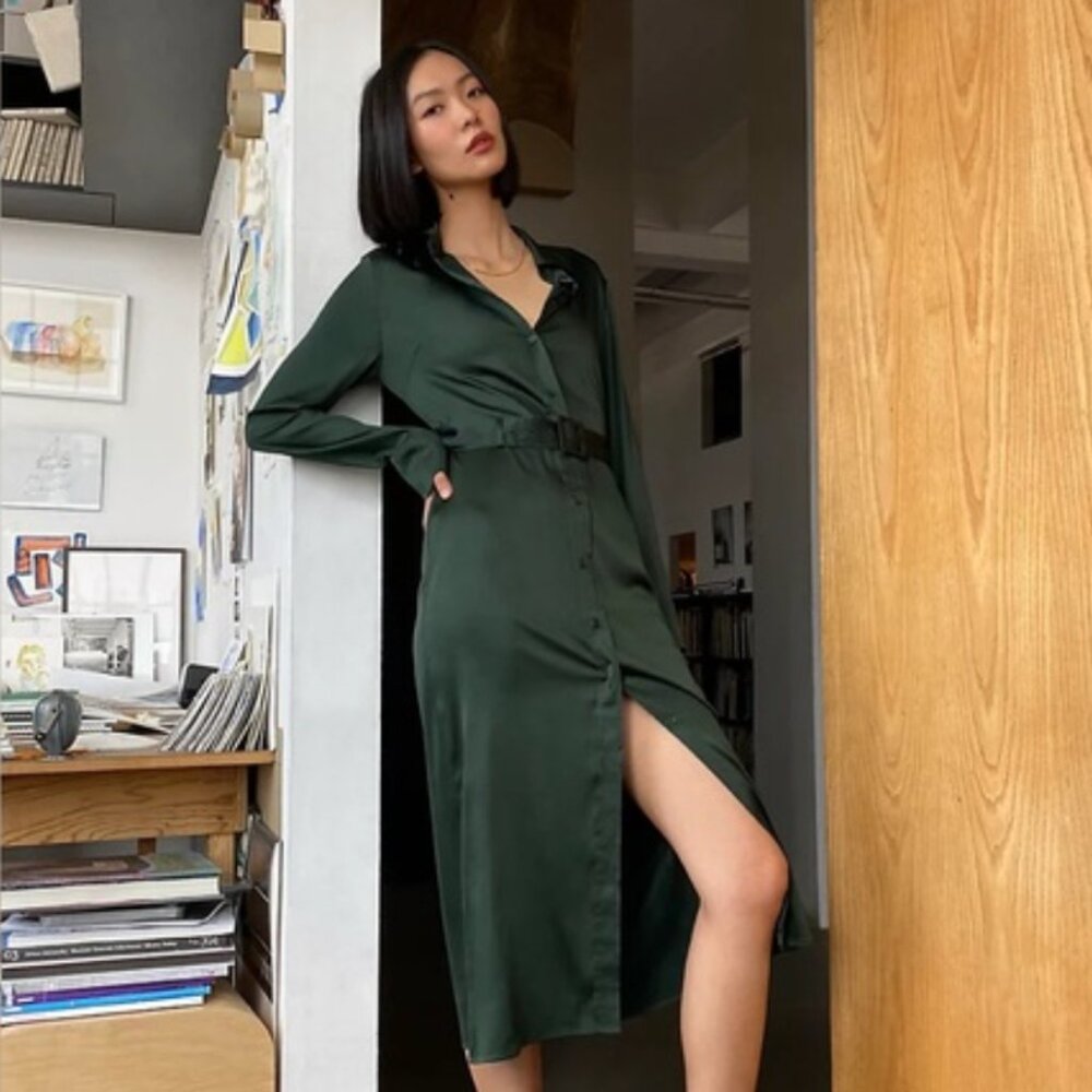 Aritzia Amory Dress